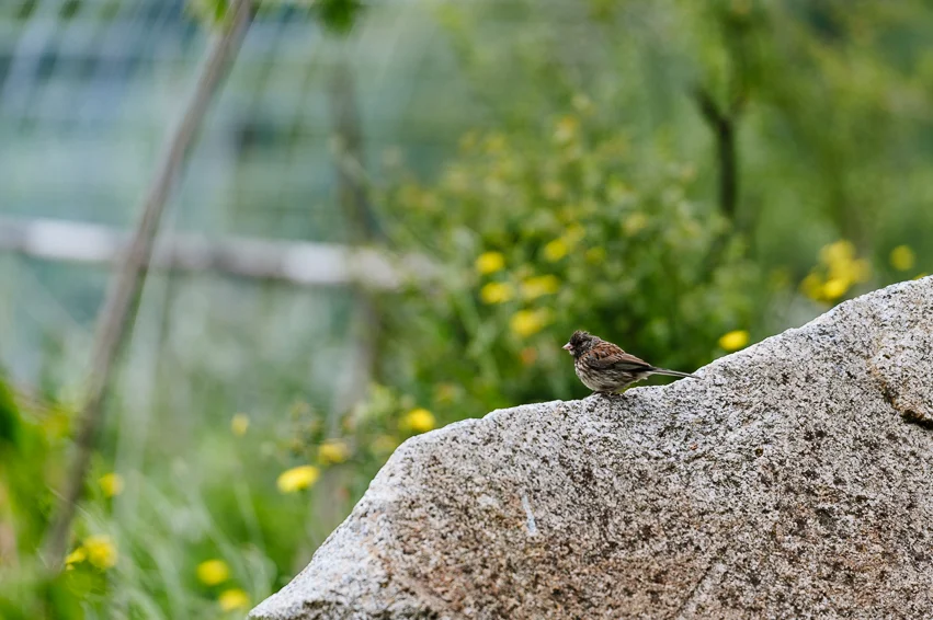 20180702__RKR1322.jpg