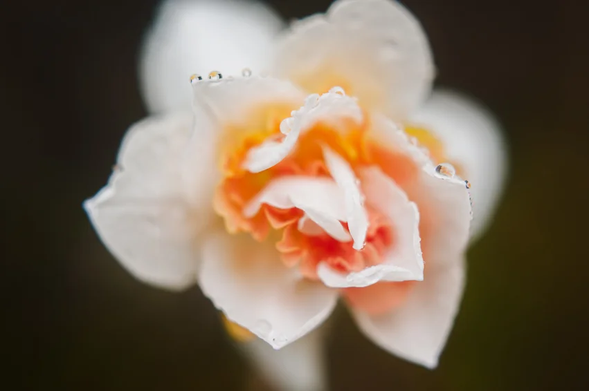 20190403__RKR3933.jpg