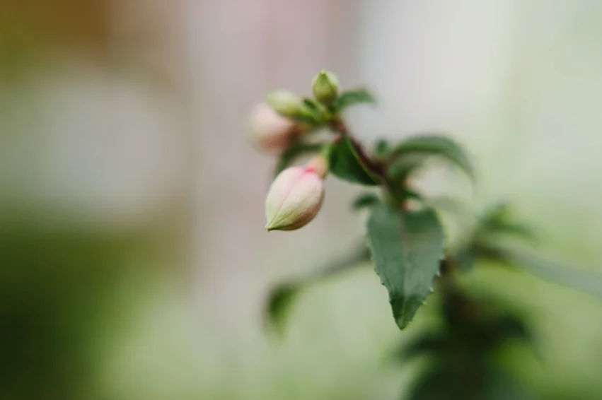 20190417__RKR4163_001_WEB.jpg