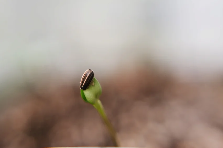 20190417__RKR4178_011_WEB.jpg
