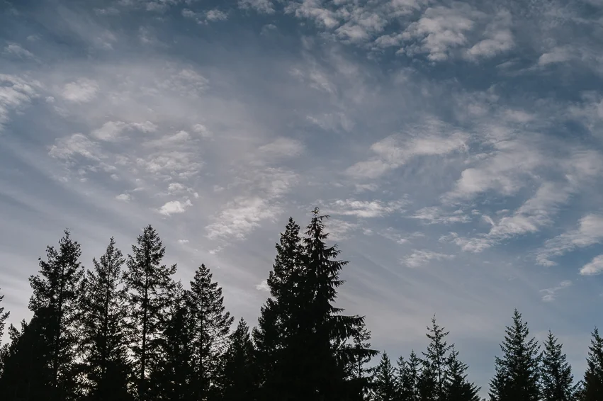 20190421__RKR4355.jpg