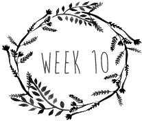 week10.png