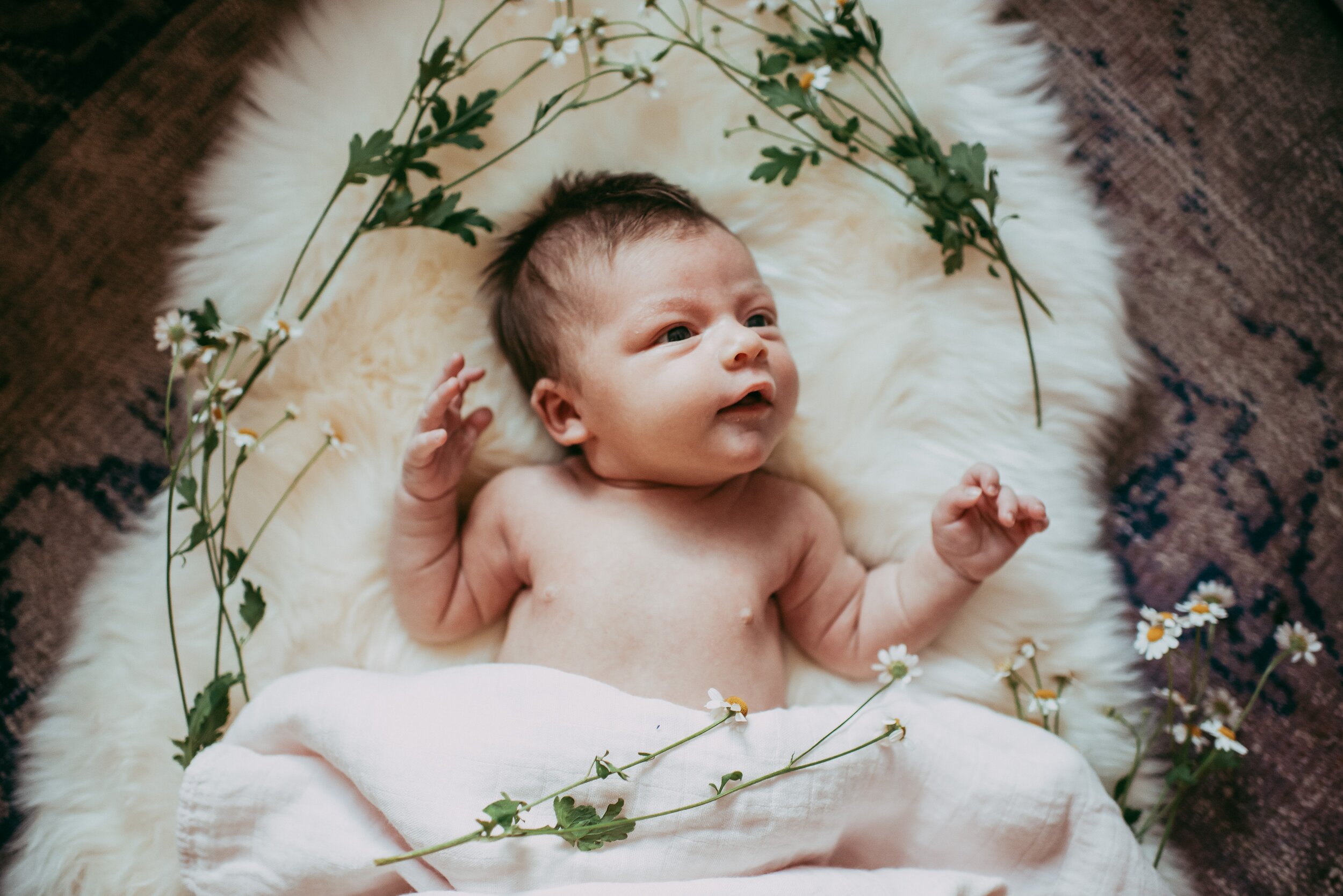 Colorado Newborn Baby Photography