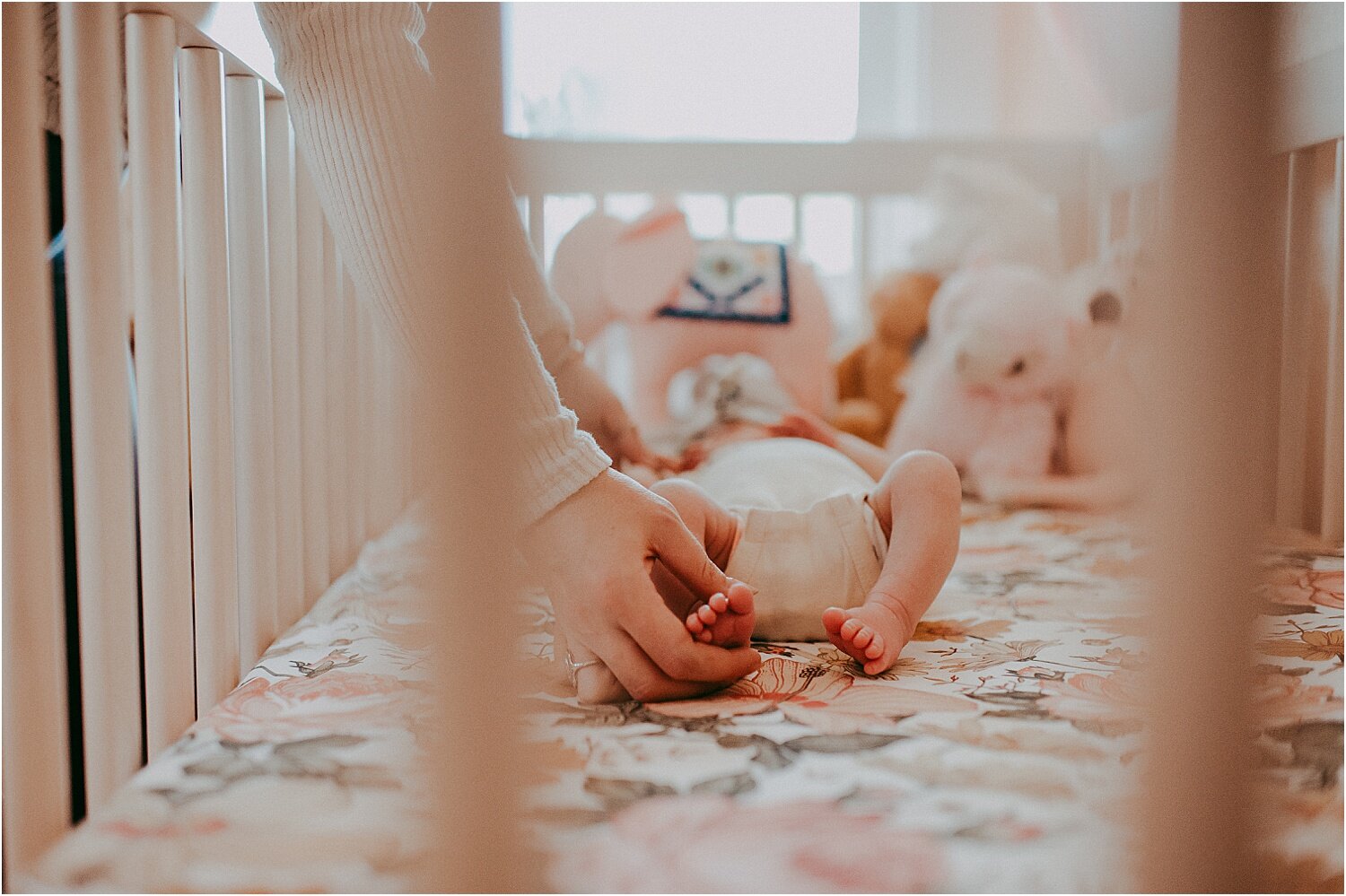 Fort Collins Colorado Newborn Photography Home Photos by Sunshine Lady Photography (Copy)