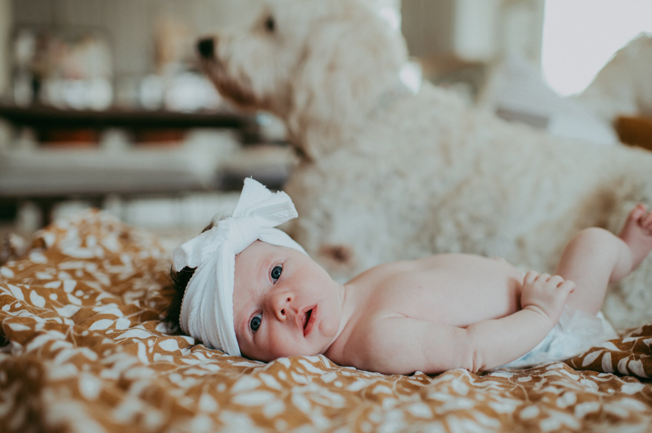 Fort-Collins-Boho-Baby-Photo-By-Sunshine-Lady-Photography 