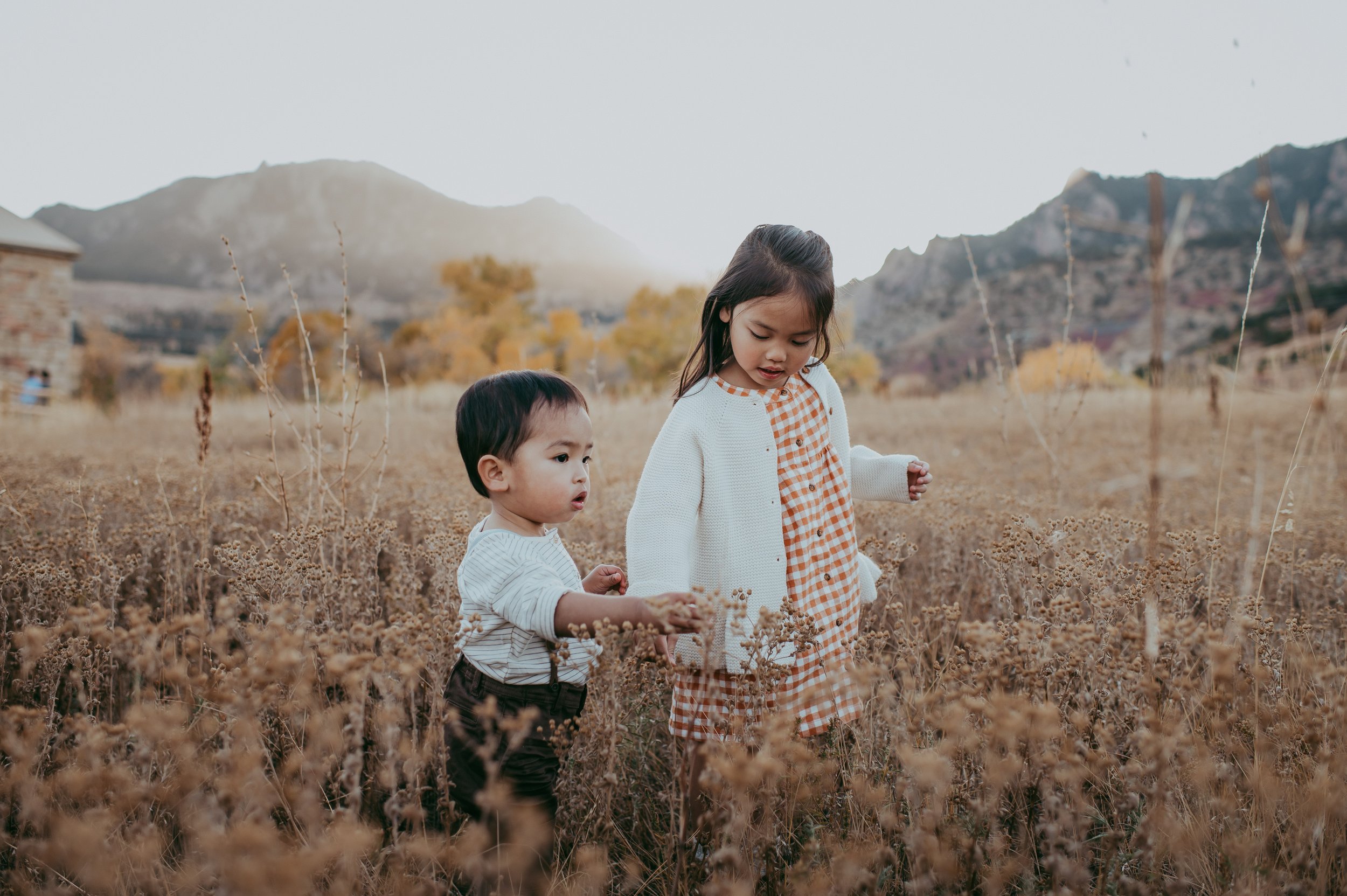 sunshine-lady-photography-colorado-family-photograpy.jpg