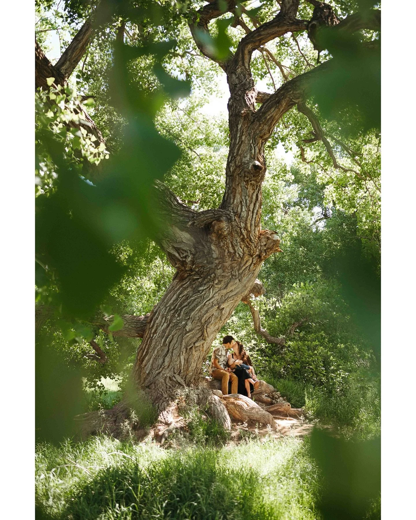 Desperately noticing and holding on to all that is good in the world. 

📸

Our community of @clickprophotographers have come together to amplify our voice as women photographers. Next up is @jillcarsonphotography 

To see more work from our amazing 