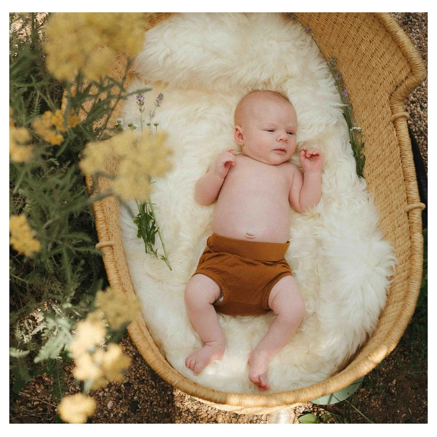 My favorite thing about summer is the chance to take newborn photo sessions outside.🌞🌻🌳

📸

Our community of @clickprophotographers have come together to amplify our voice as women photographers. Next up is @stacymceligot 

To see more work from 