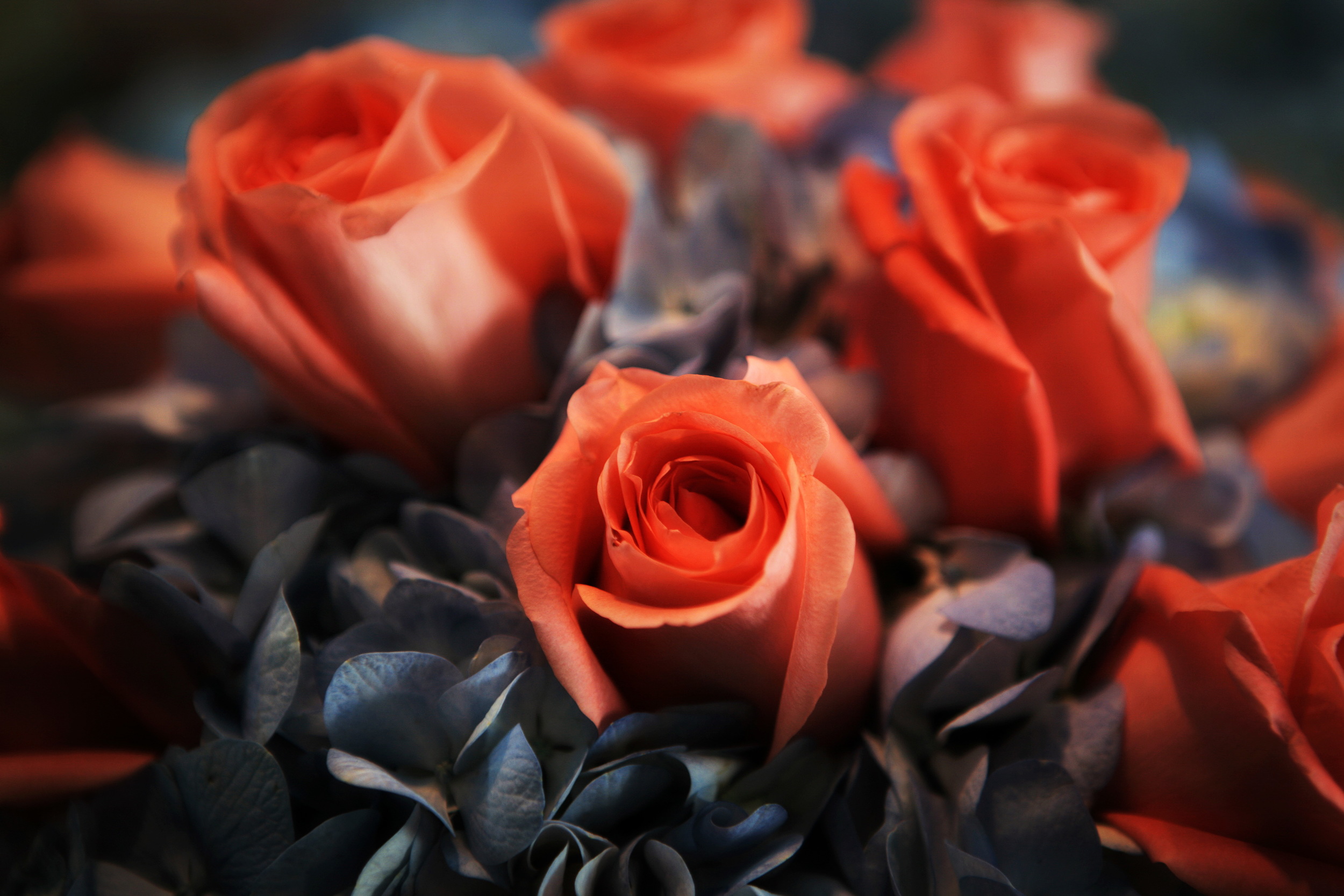 wedwebcolor.020.JPG