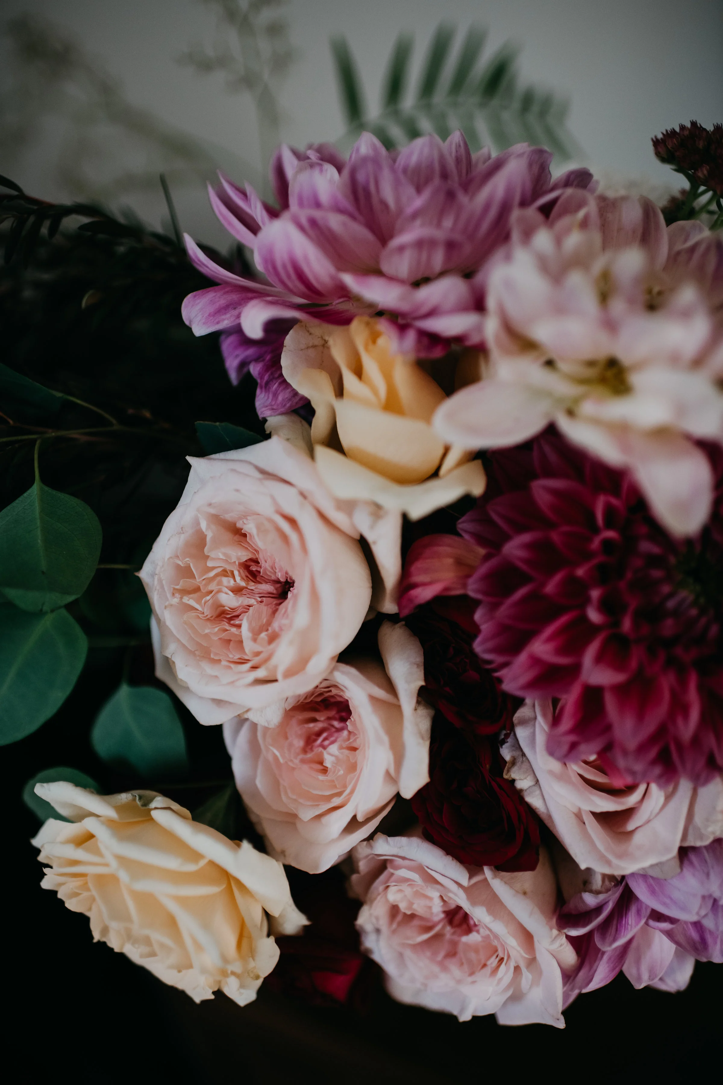 S+A(62of810).jpg