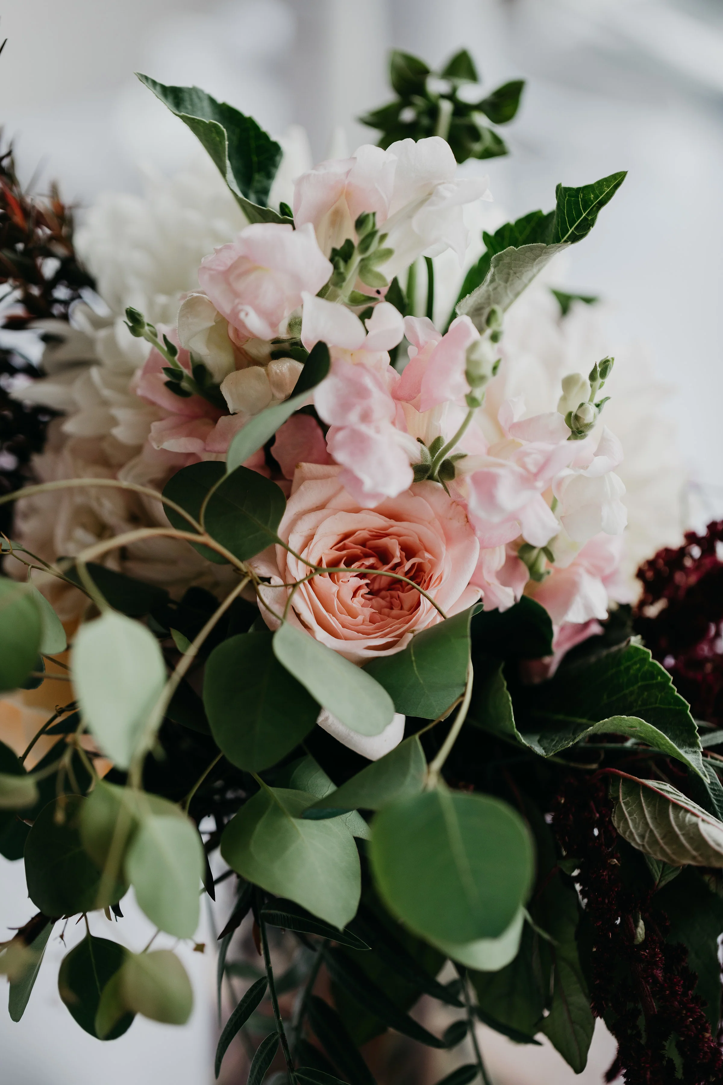 S+A(402of810).jpg