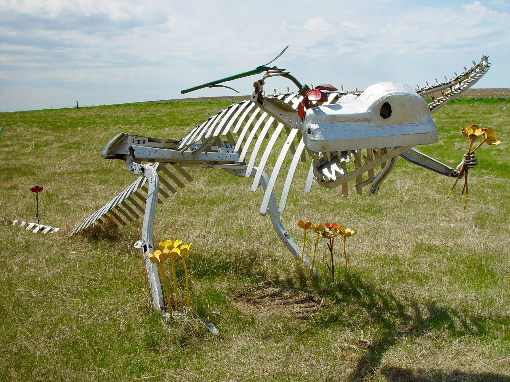 The Anatomy of a Dragon