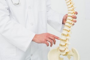 When joints are misaligned, you can lose range of motion and have pain, numbness, or burning. The health of organs and be effected as well.