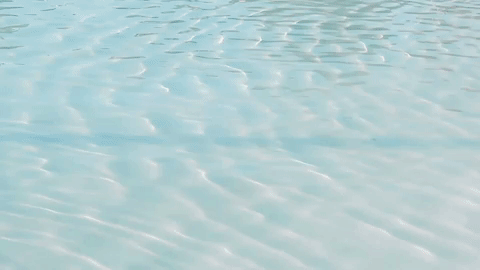 giphy-downsized-large.gif