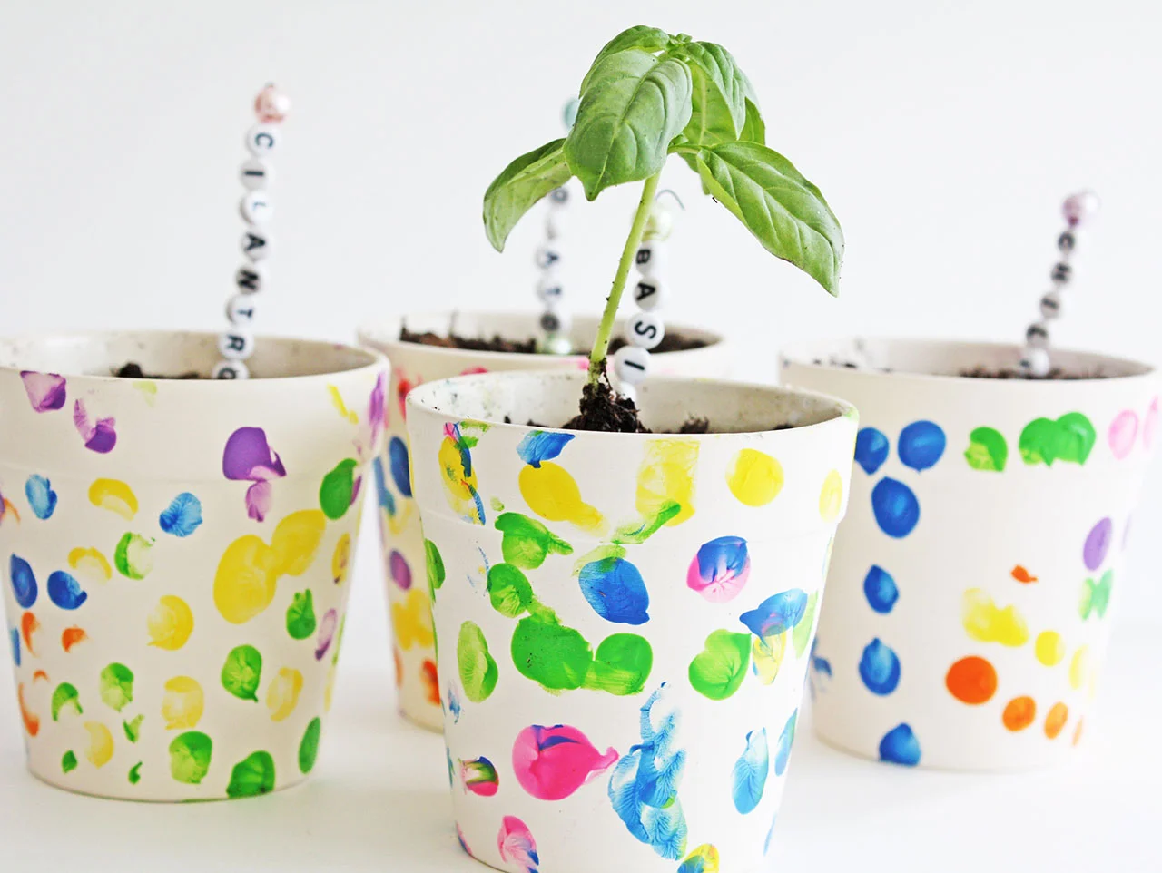 Finger Print Flower Pots