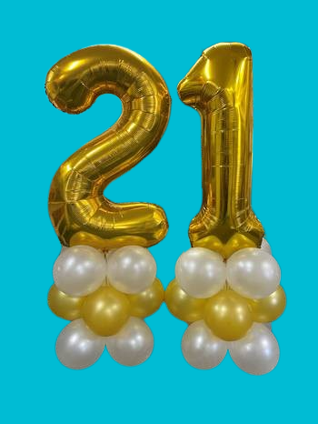 1000002958-removebg-preview (1).png