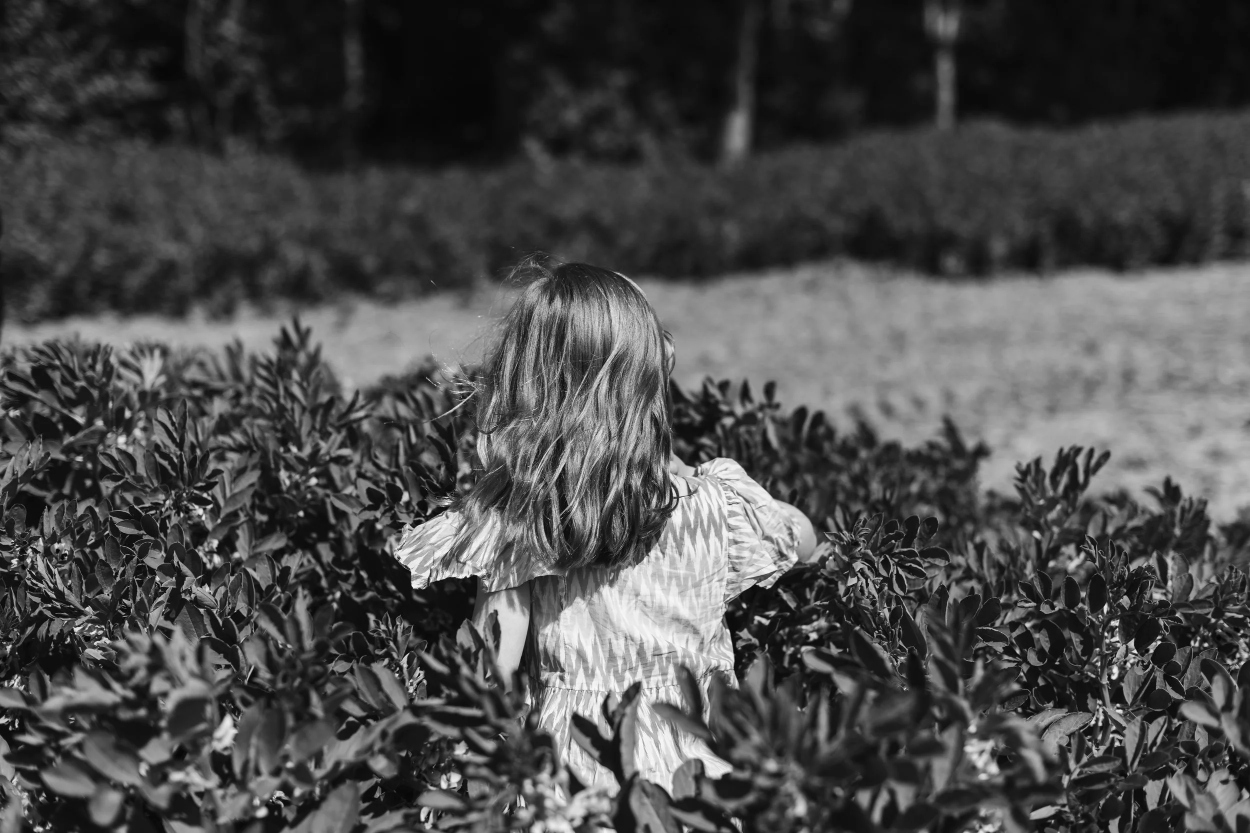 family-photographer-northamptonshire-049.jpg