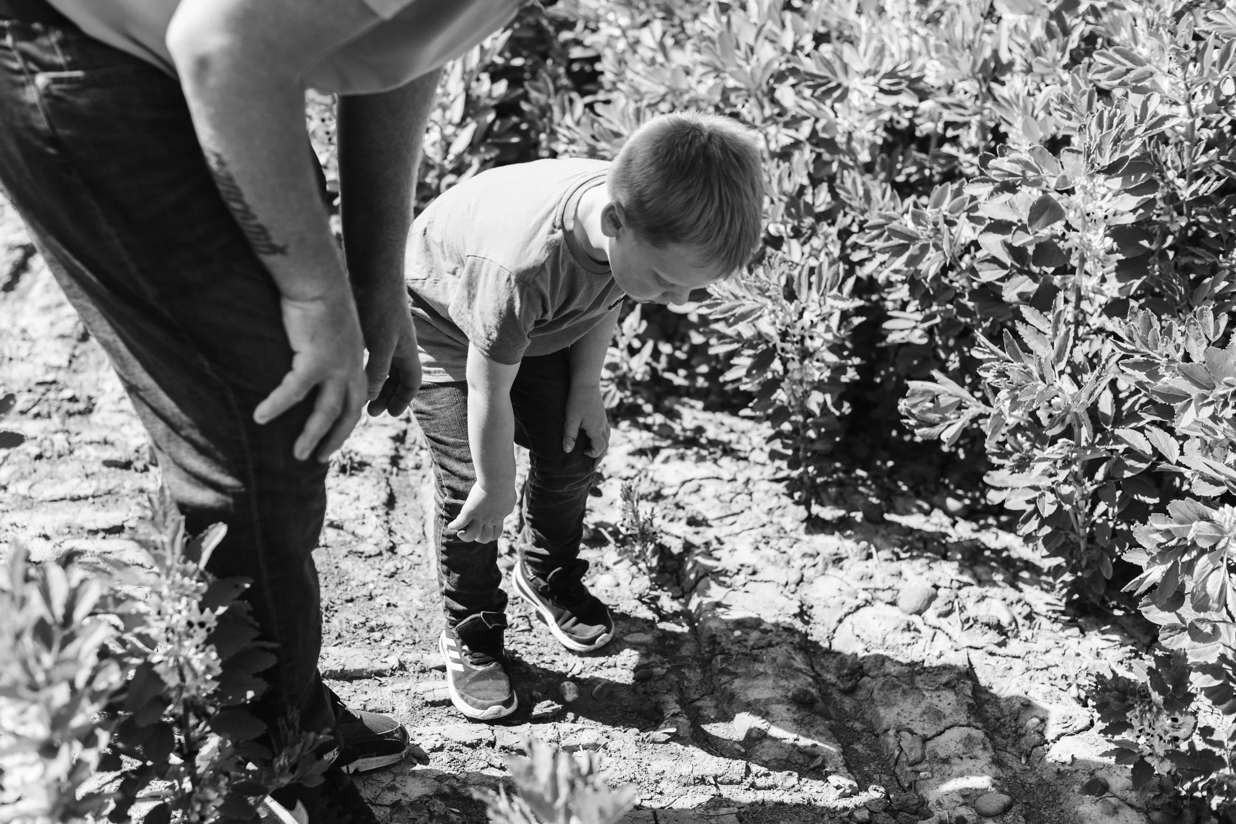 family-photographer-northamptonshire-069.jpg