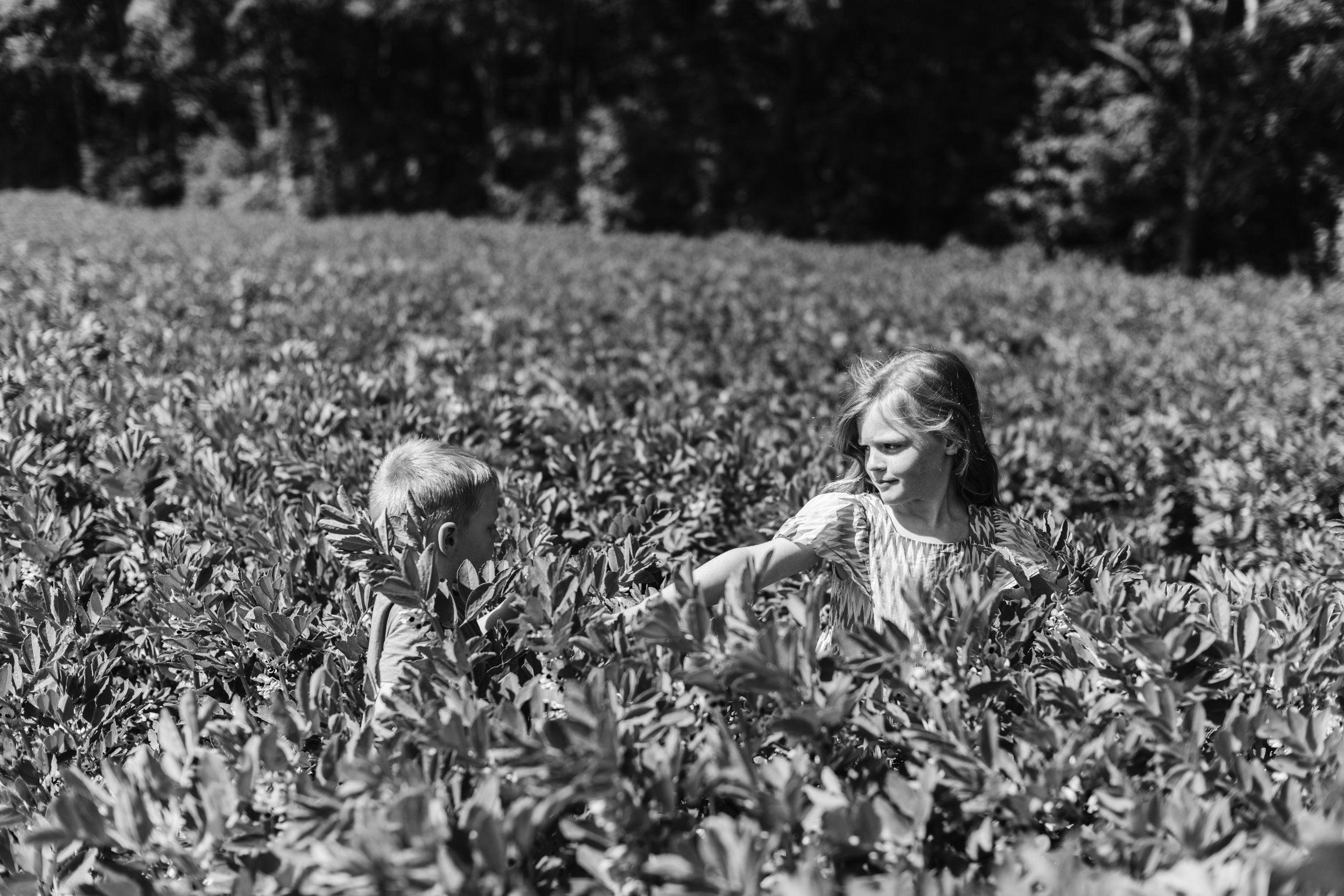 family-photographer-northamptonshire-062.jpg