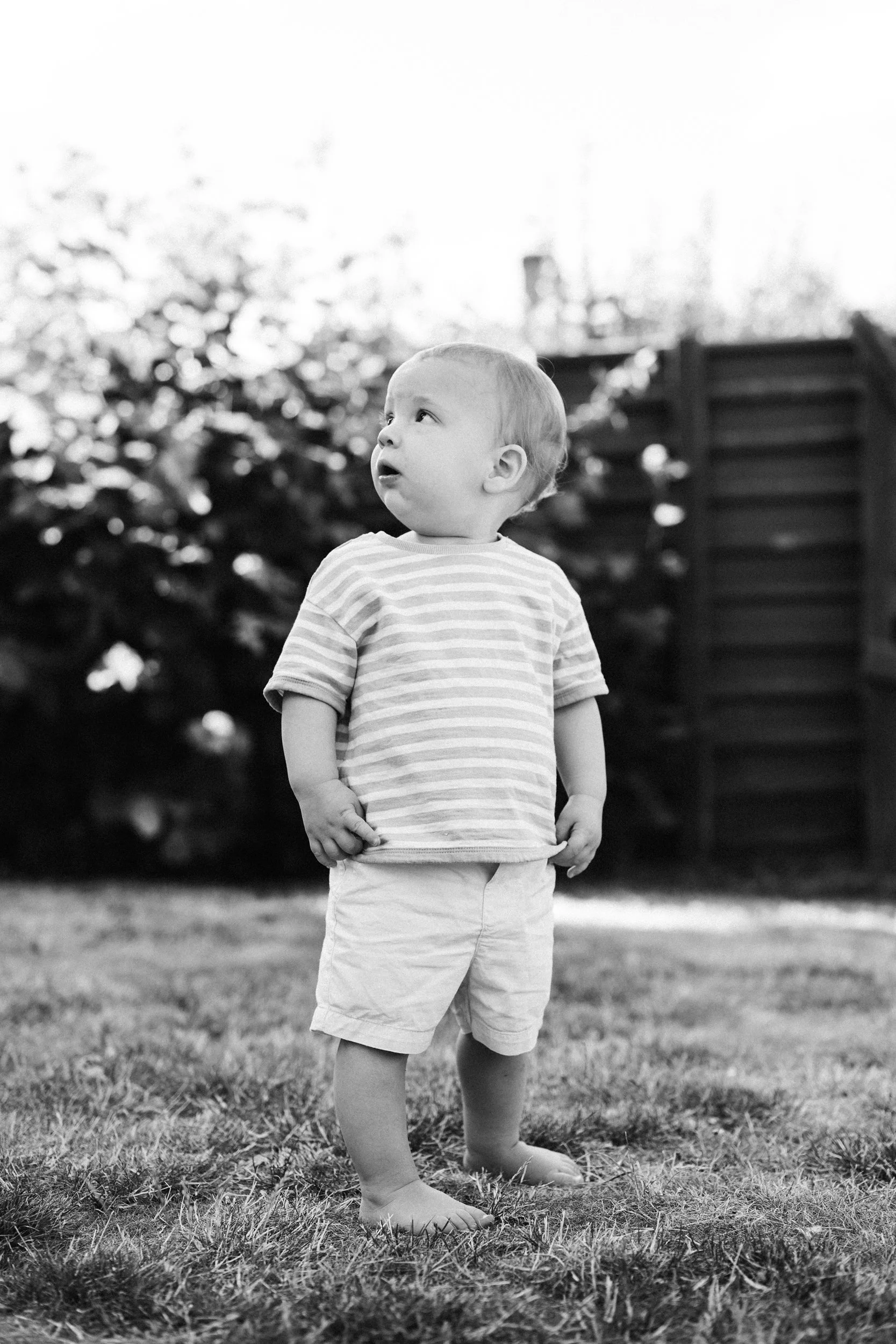 toddler-portrait-banbury-kids-photographer-14.jpg