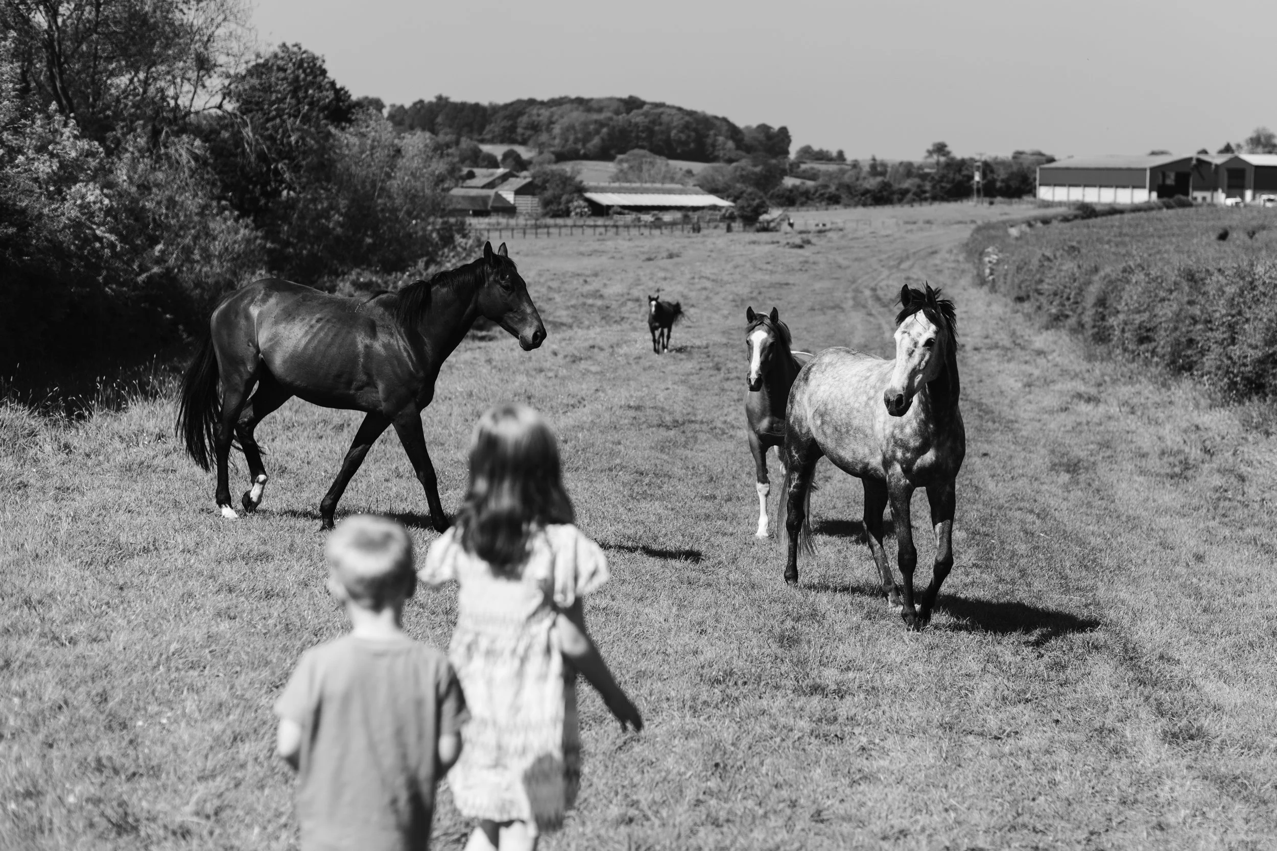 family-photographer-northamptonshire-031.jpg