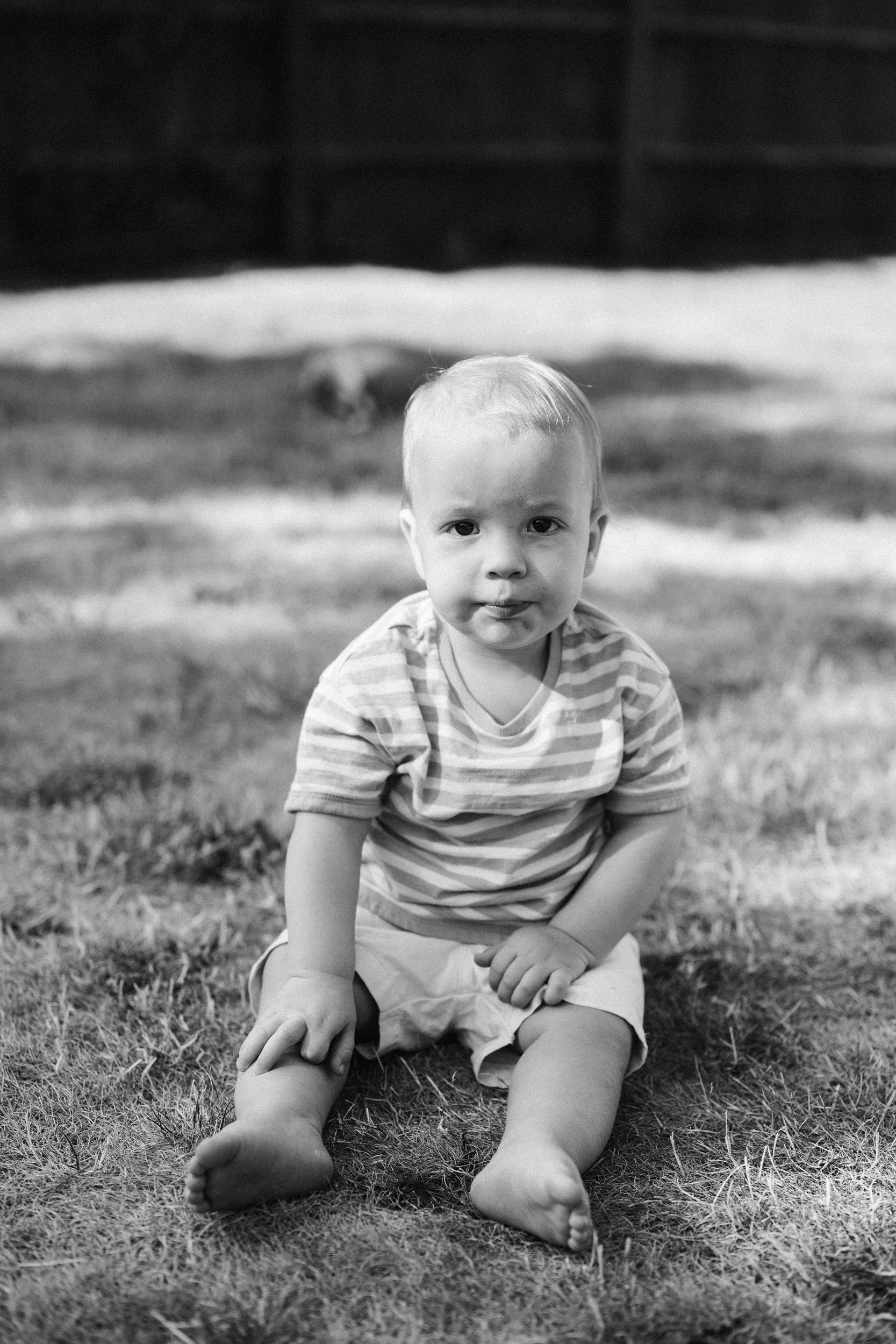 toddler-portrait-banbury-kids-photographer-19.jpg
