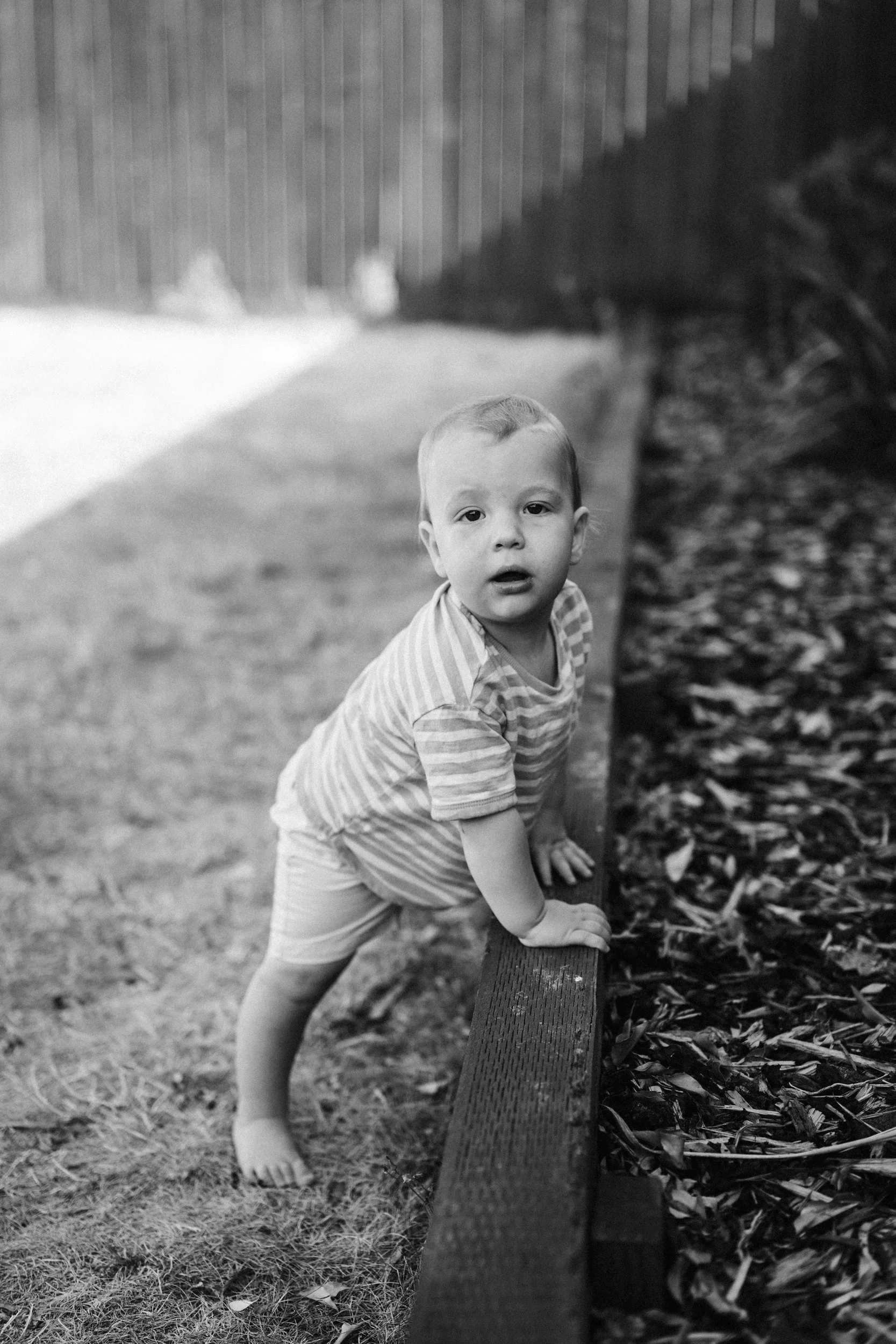 toddler-portrait-banbury-kids-photographer-35.jpg