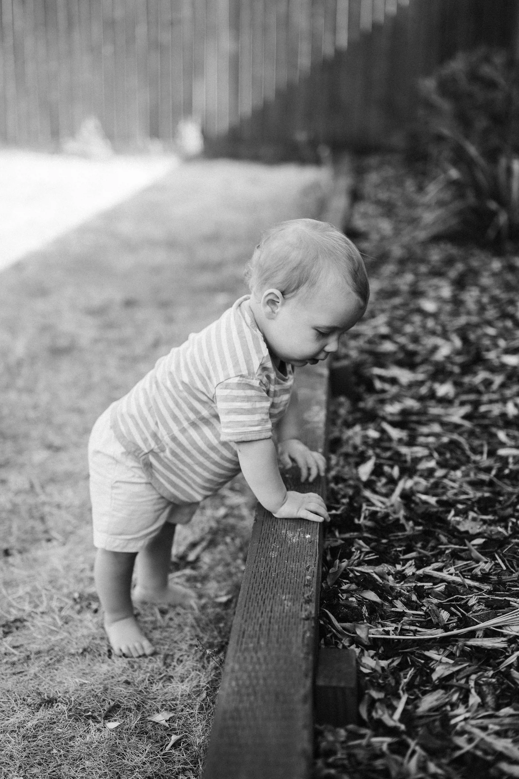 toddler-portrait-banbury-kids-photographer-36.jpg