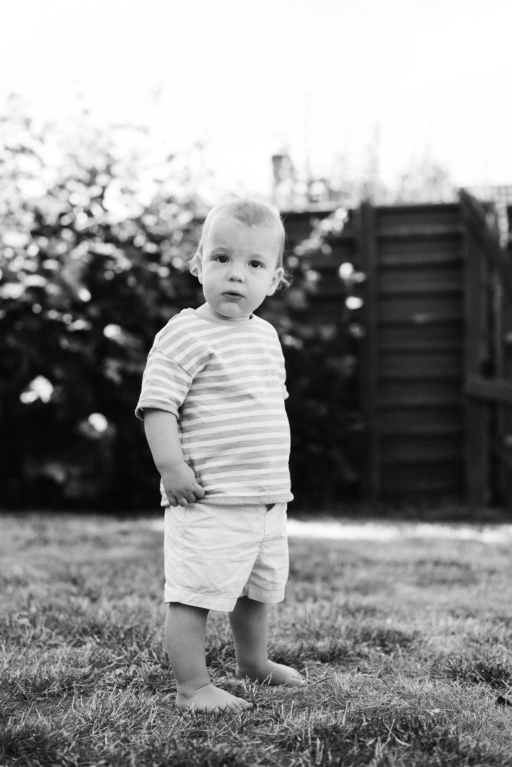 toddler-portrait-banbury-kids-photographer-13.jpg