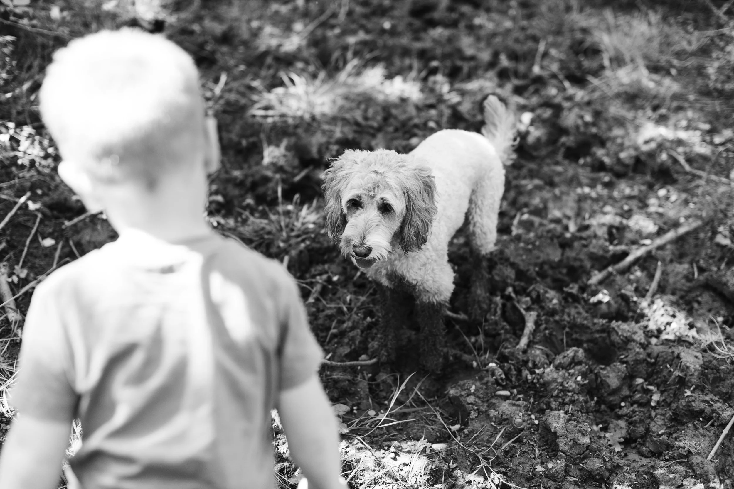family-photographer-northamptonshire-078.jpg