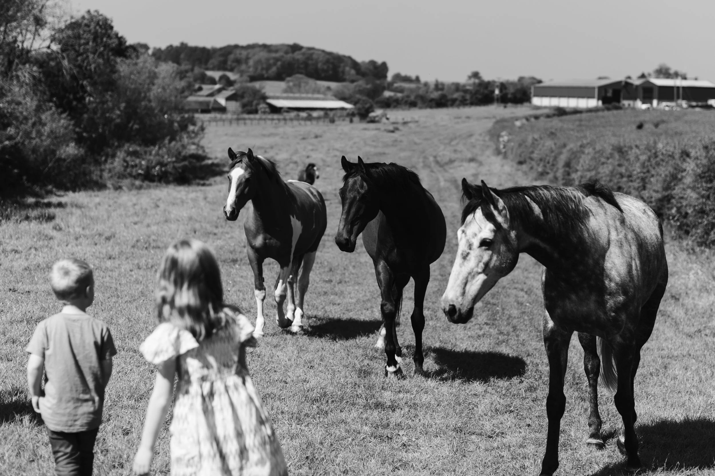 family-photographer-northamptonshire-032.jpg