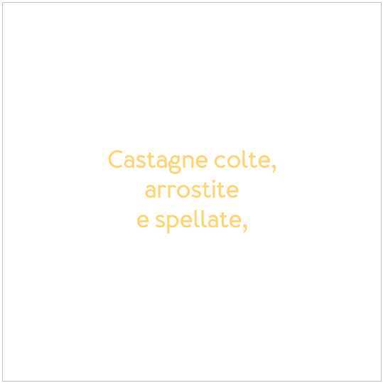 SC-P4-ScrittaCastagna.jpg