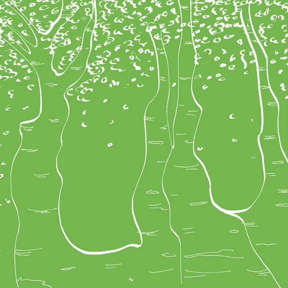 UAM-P13-Natura.jpg