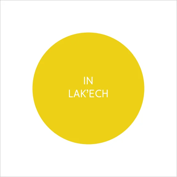 UAM-P20-InLakech.jpg