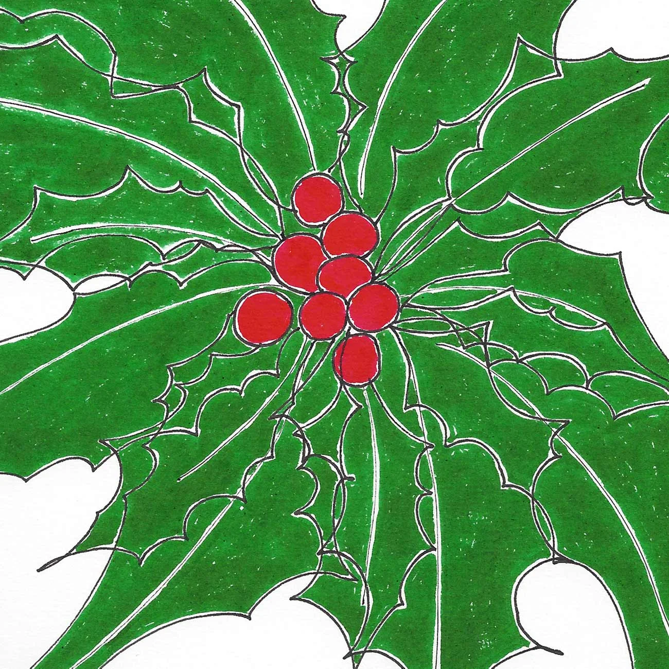 18 dicembre: salendo da Riva San Vitale verso il Rocul ce n'è uno che se ne sta lì da anni, con le braccia incrociate e il suo sguardo sempreverde come un guardiano del bosco. E forse lo è. Dicono siano simbolo di eternità, scacci gli spiriti maligni e, a metterselo fra i capelli, porti fortuna (...). Non so, io so solo che è meraviglioso e che di sicuro qualche cosa di maligno scaccia, appena lo si guarda.