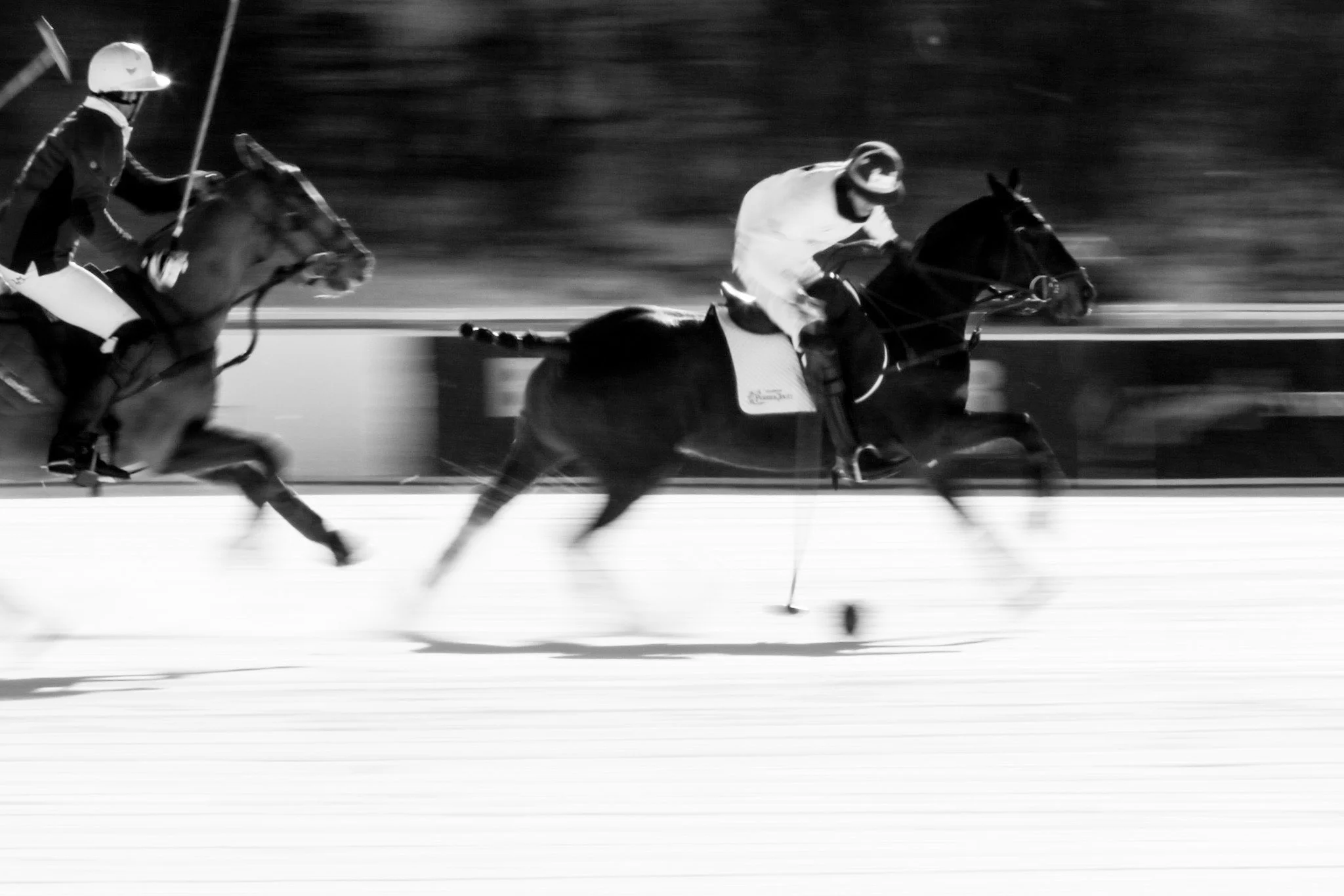 Polo6.jpg