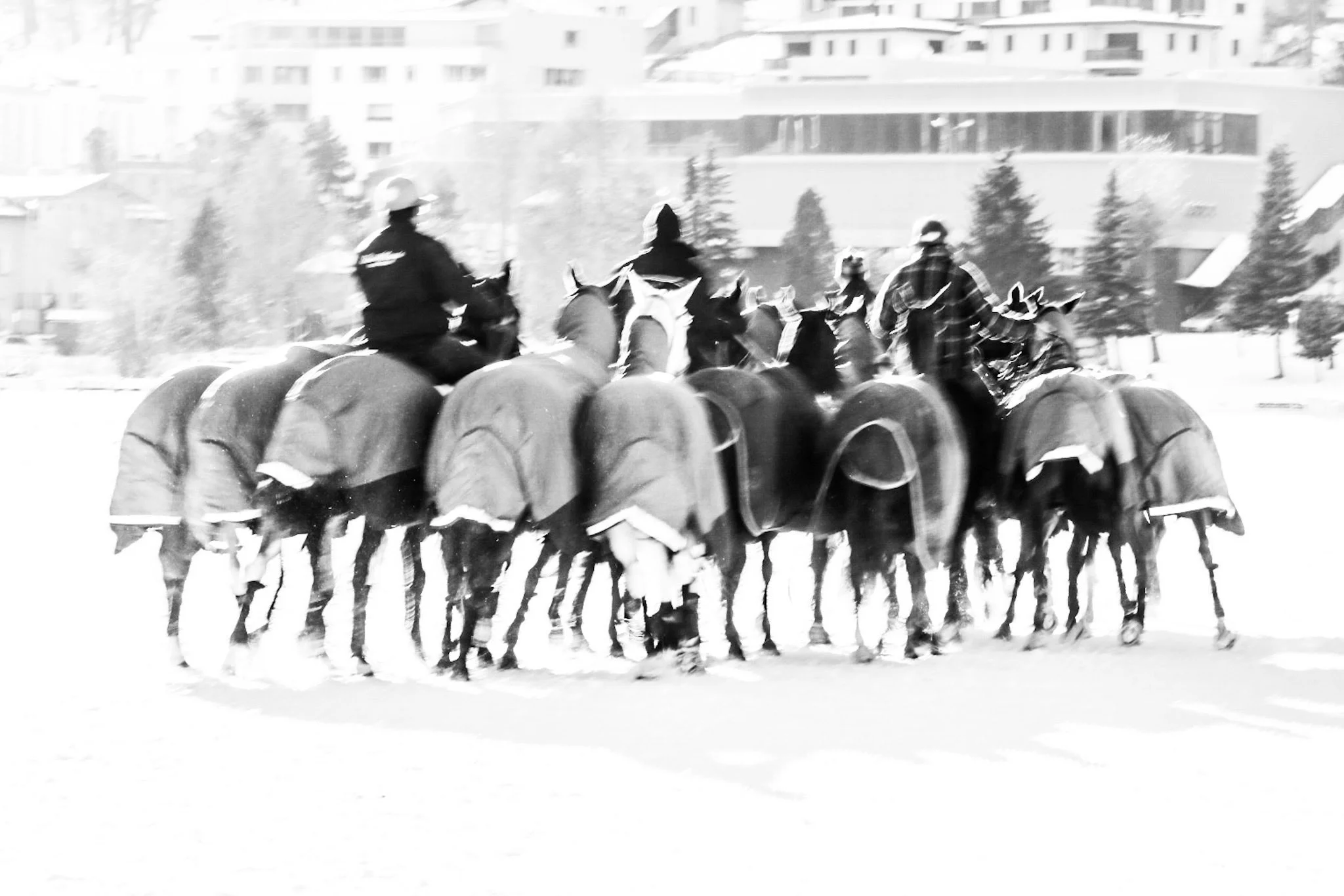 Polo8.jpg