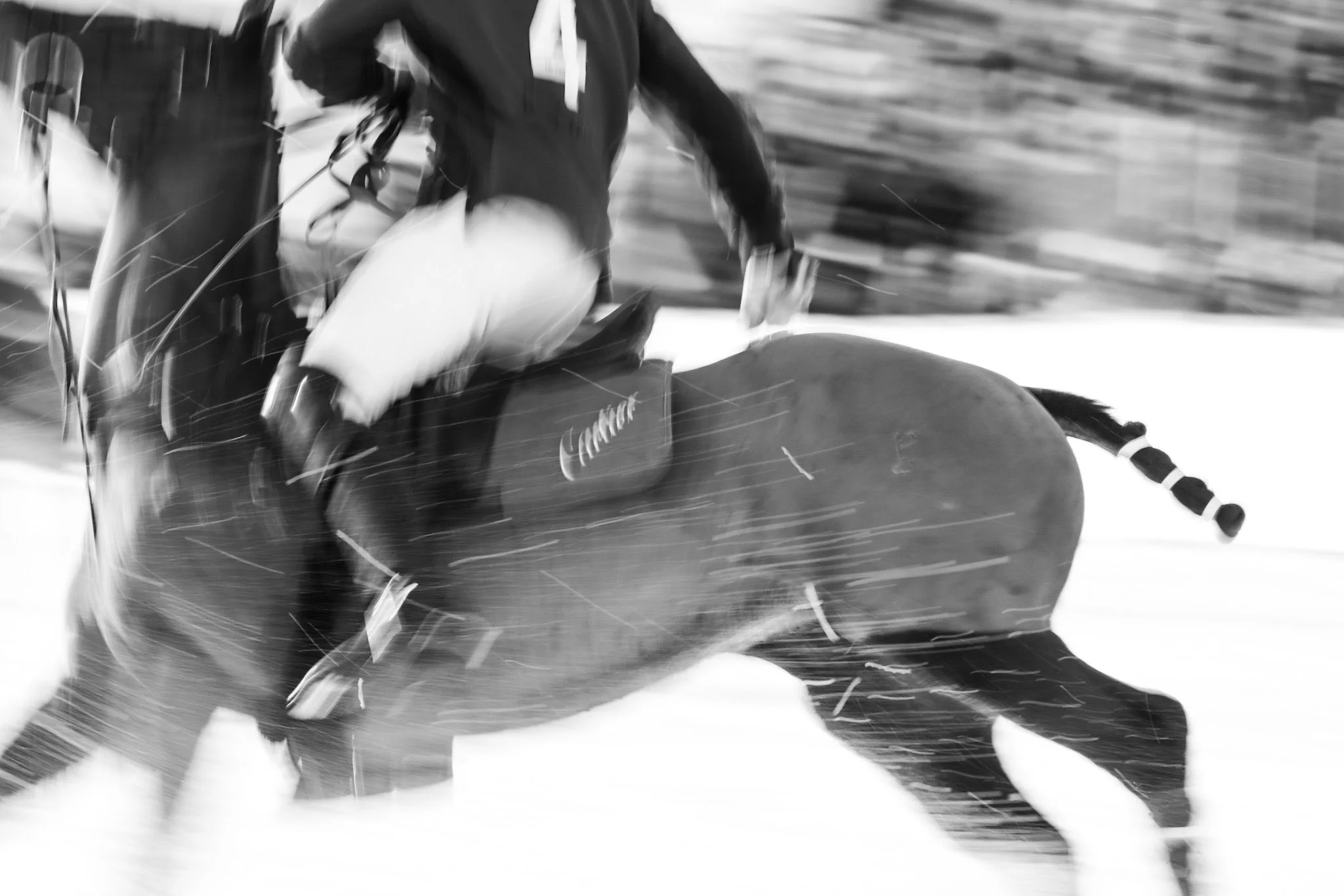 Polo14.jpg