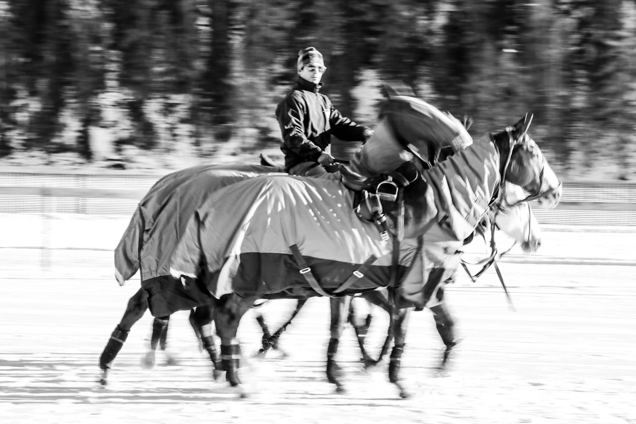 Polo9.jpg