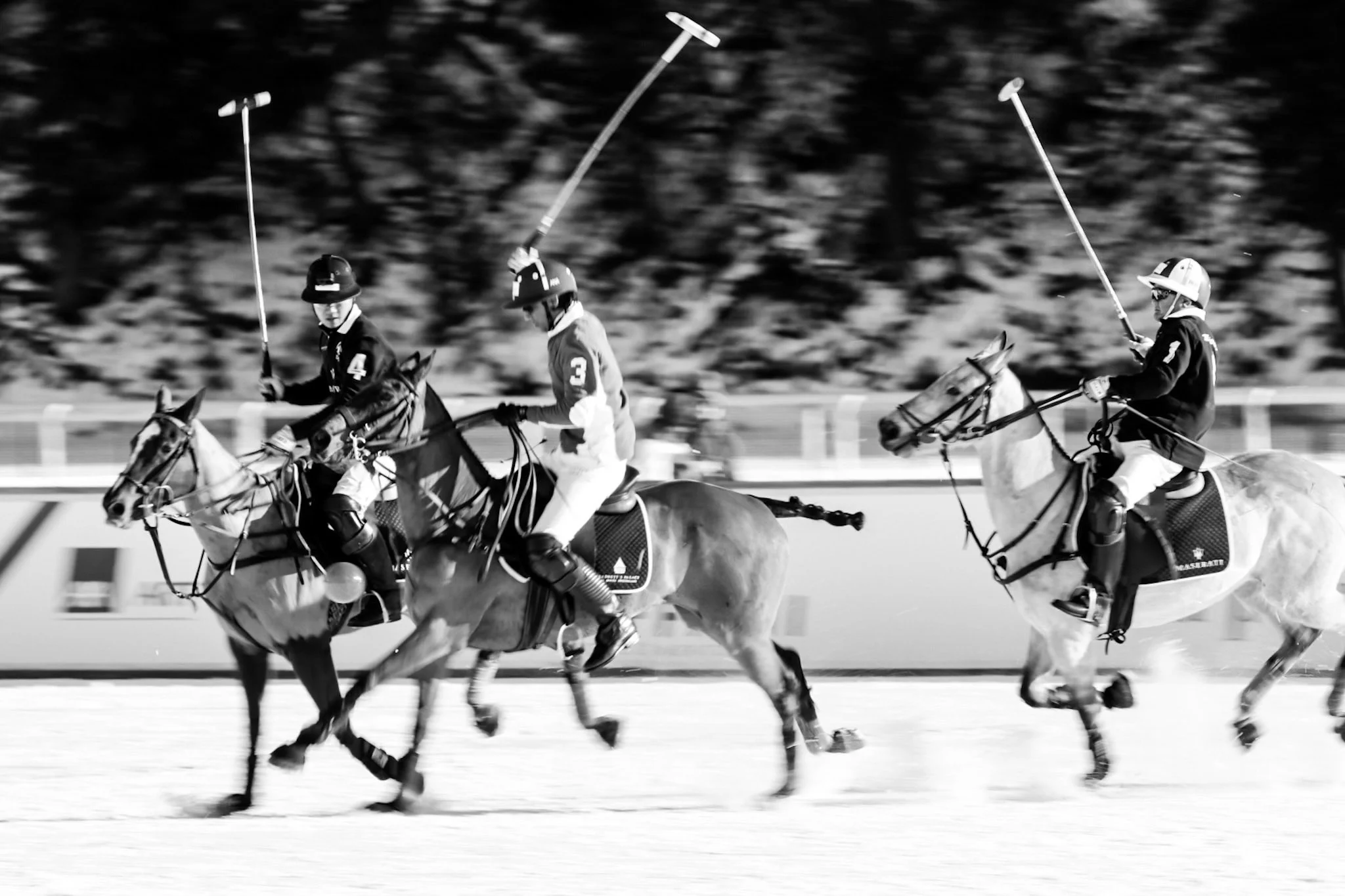 Polo4.jpg