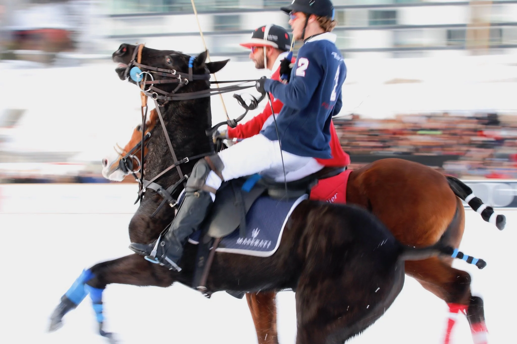 18Polo7.jpg