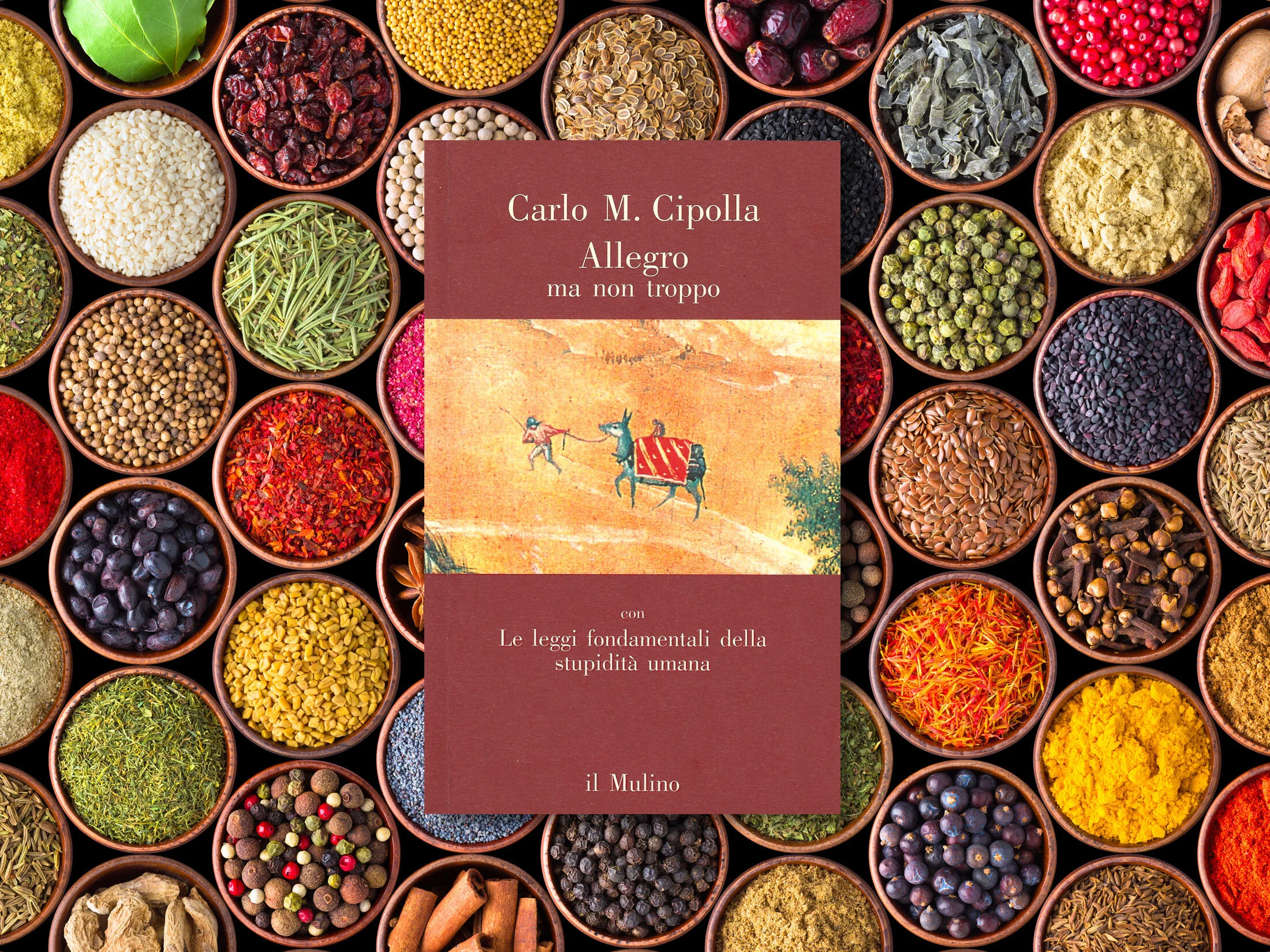 9-AllegroMaNonTroppo---CarloMCipolla.jpg