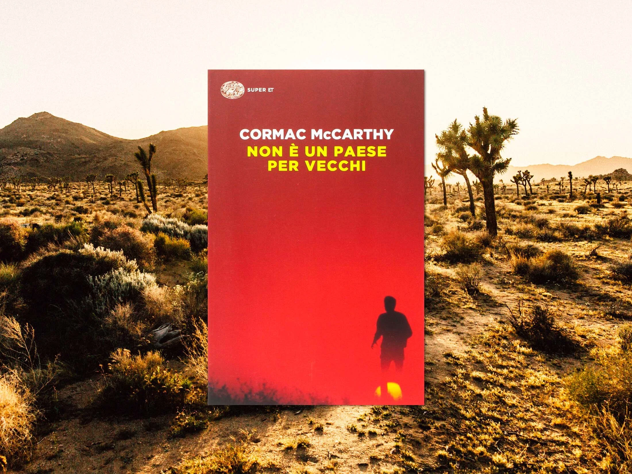 31-NonÈUnPaesePerVecchi-CormacMcCarthy.jpg