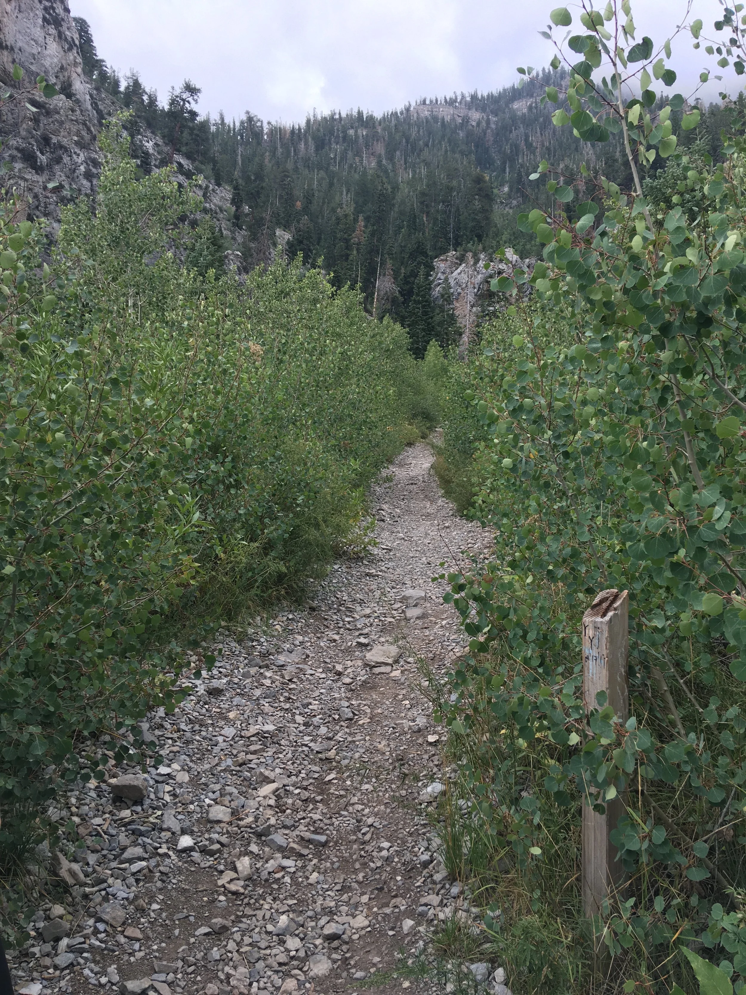 IMG_2236.jpg