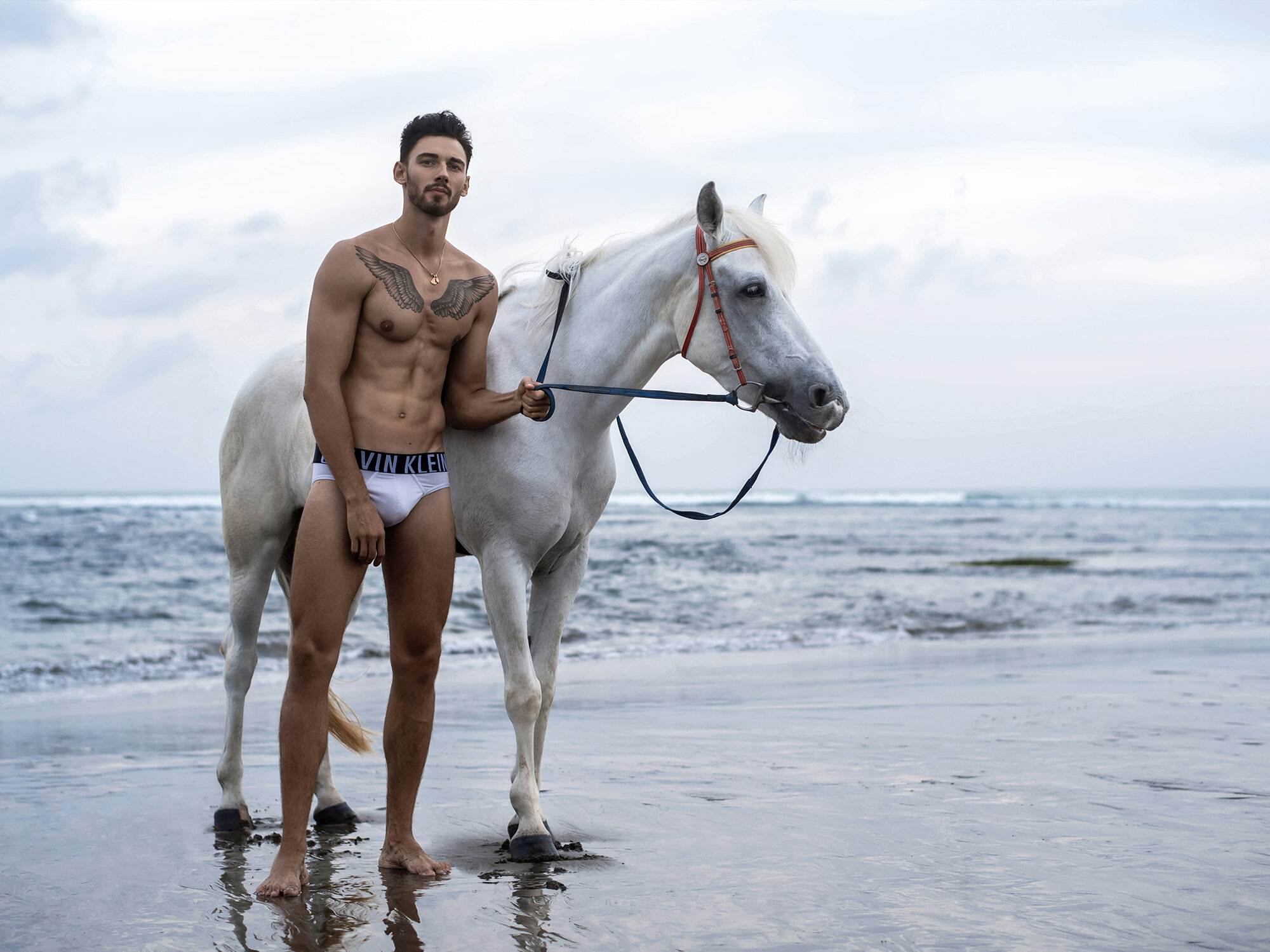 antonio-fernandes-horse-2019-by-jeremy-holden-21a.JPG