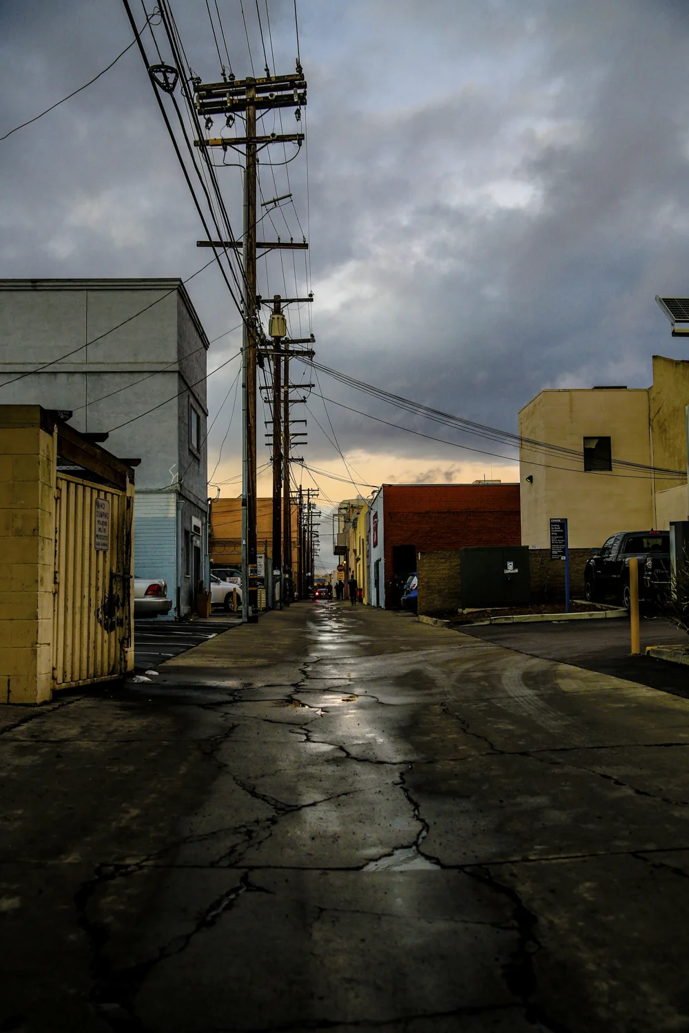 DS1A8417.jpg