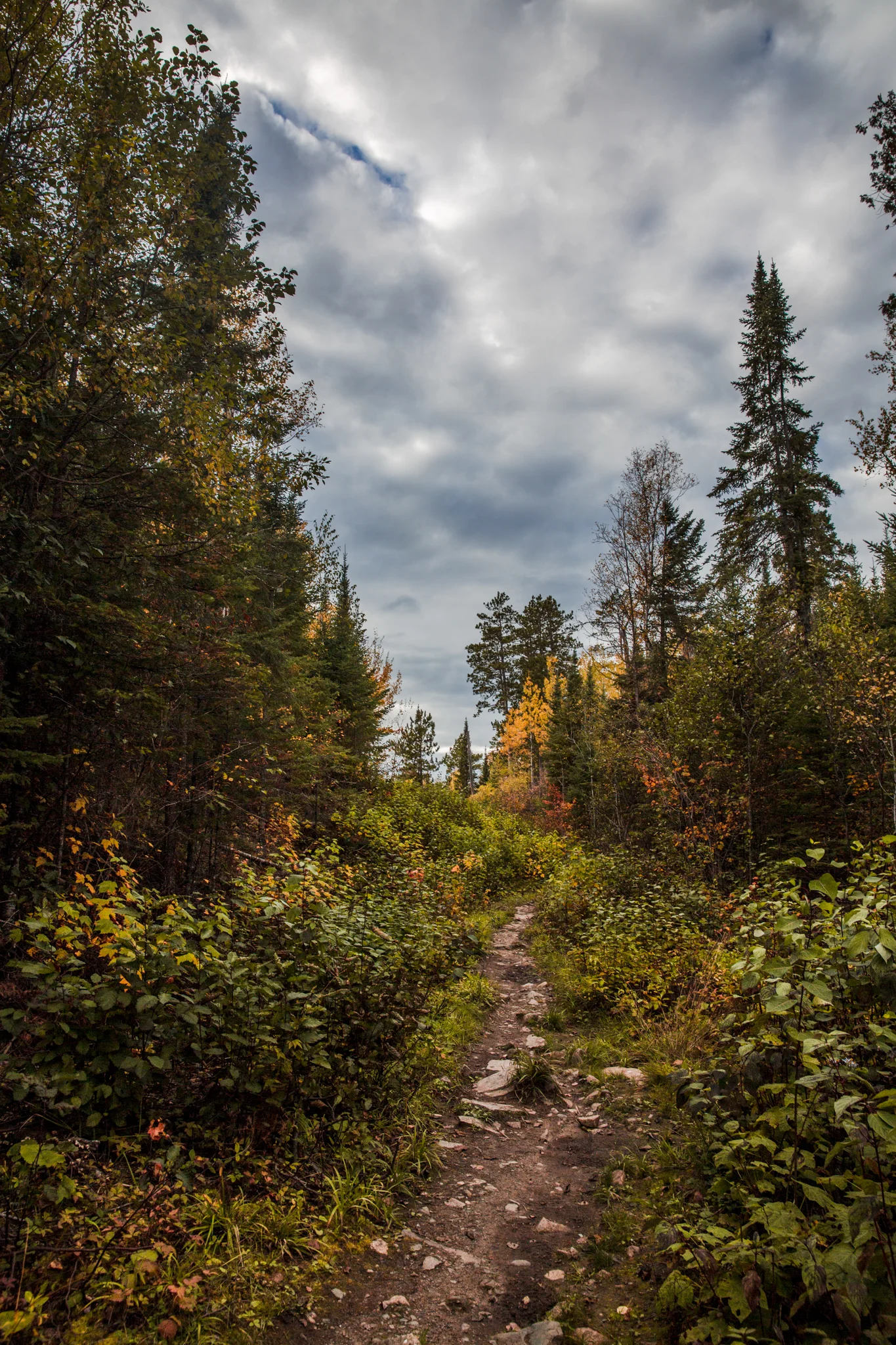_S1A6626-2.jpg