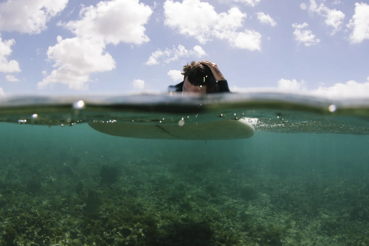 CaribbeanBlue_AntoineDelpero_OxbowGuadeloupe-day3_TL_6052.jpg