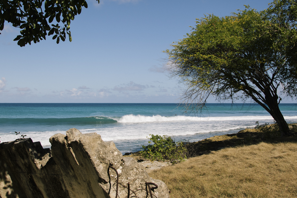 CaribbeanBlue_Line-Up_OxbowGuadeloupe-day1_TL_7.jpg