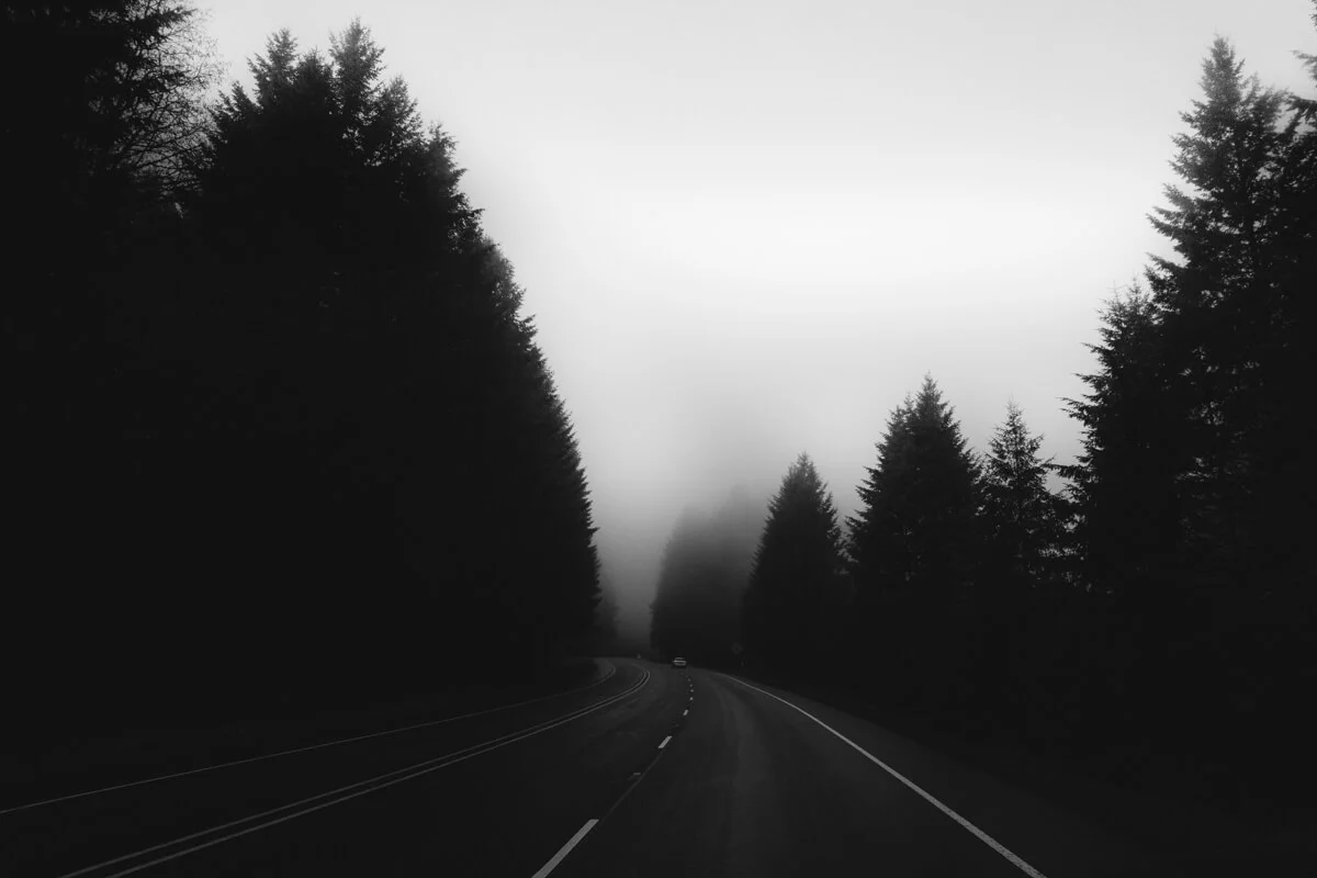 PacificNorthwest_TLodin_TL_05495.jpg